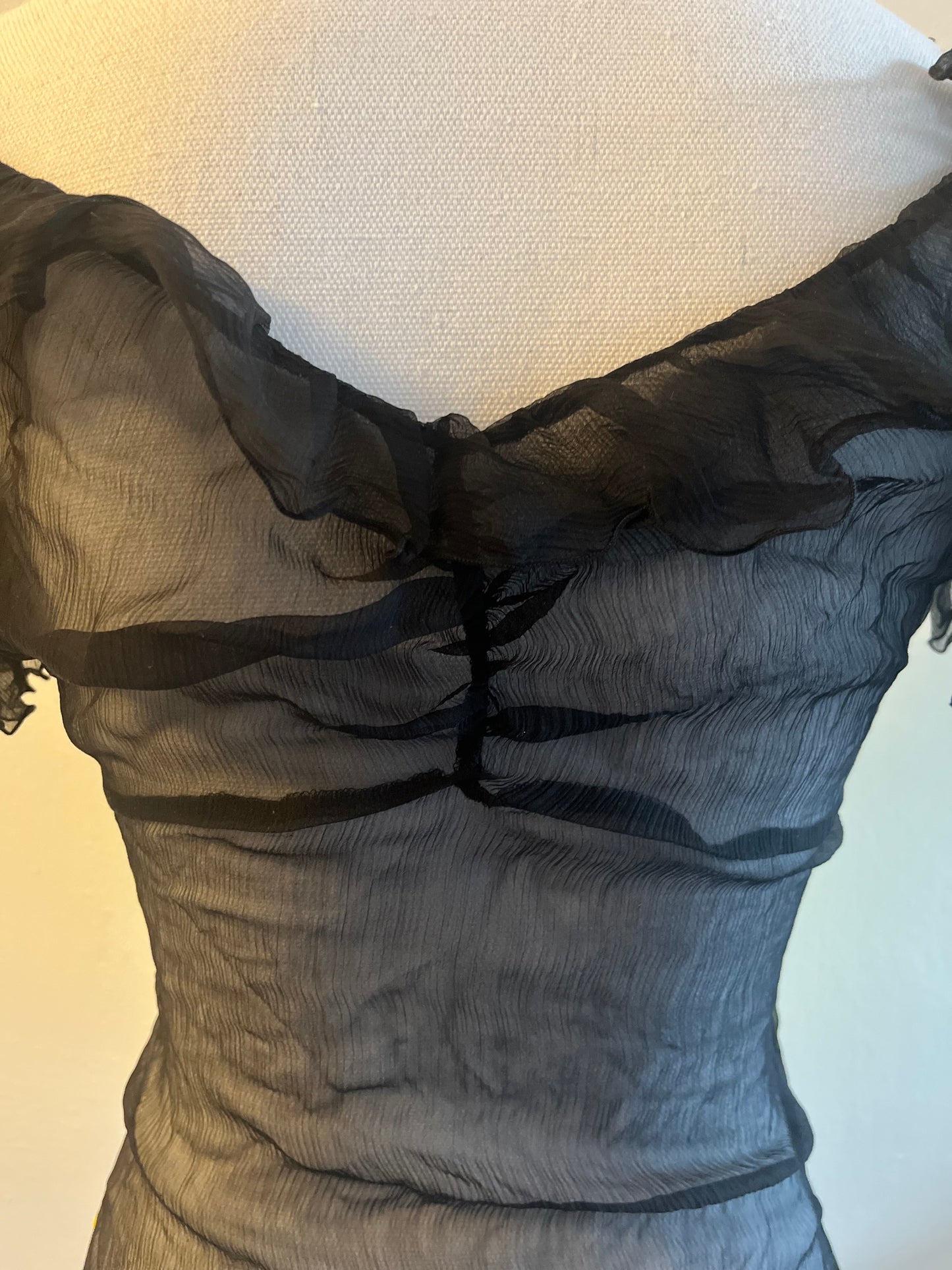 D&G fall 2001 sheer "Panther" top