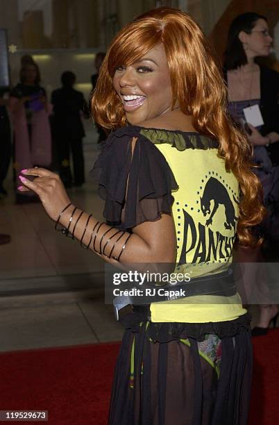 D&G fall 2001 sheer "Panther" top